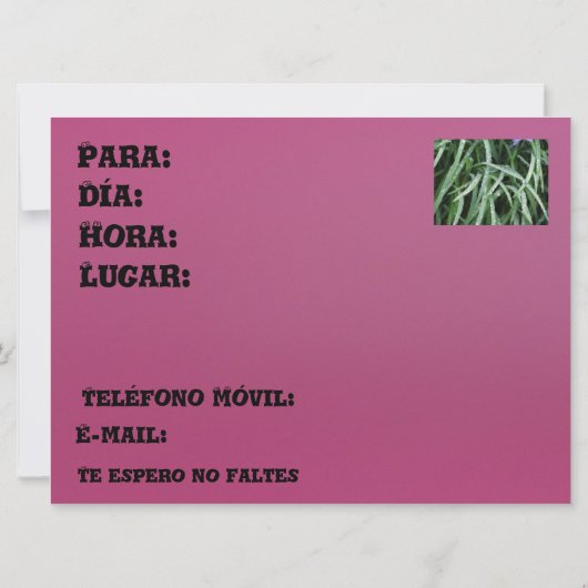 Invitación - Fiesta de Cumpleanoss 招待状 (裏面)