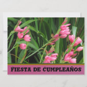 Invitación - Fiesta de Cumpleanoss 招待状 (正面)