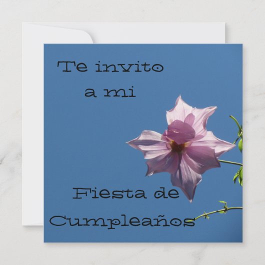Invitación - Fiesta de Cumpleanoss - Azul yローザ 招待状 (正面)