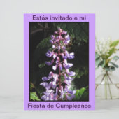 Invitación - Fiesta de Cumpleanoss - Púrpura 招待状 (スタンド正面)
