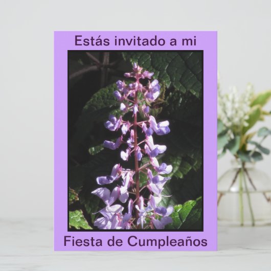 Invitación - Fiesta de Cumpleanoss - Púrpura 招待状 (スタンド正面)