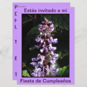 Invitación - Fiesta de Cumpleanoss - Púrpura 招待状 (正面/裏面)