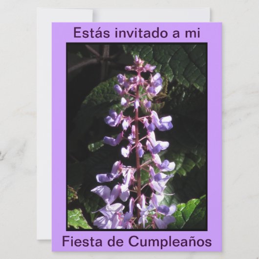 Invitación - Fiesta de Cumpleanoss - Púrpura 招待状 (正面)