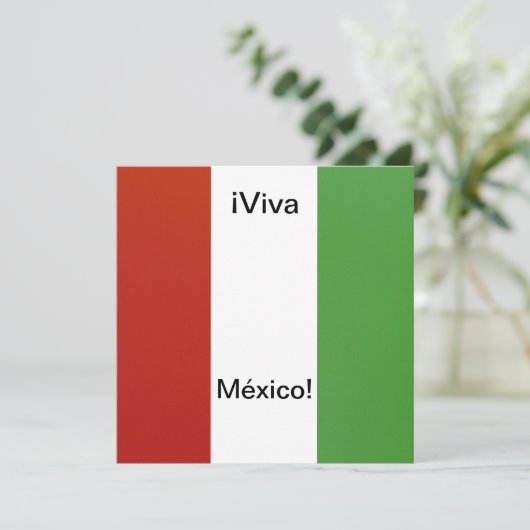 Invitación - Fiesta de Cumpleanoss - ¡ Viva México 招待状 (スタンド正面)