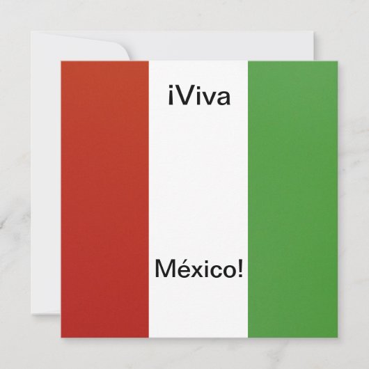 Invitación - Fiesta de Cumpleanoss - ¡ Viva México 招待状 (正面)