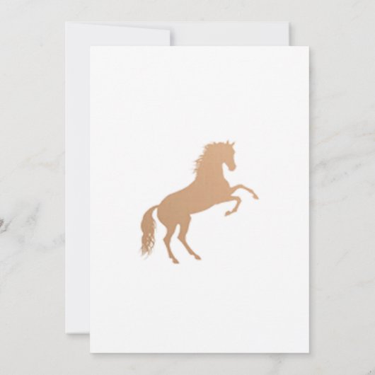 Invitaciones charro Quinceañera Charra Red 招待状 (裏面)