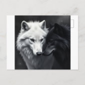 Invitation  案内ポストカード (裏面)