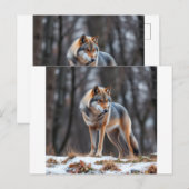 Invitation and announcement  案内ポストカード (正面/裏面)