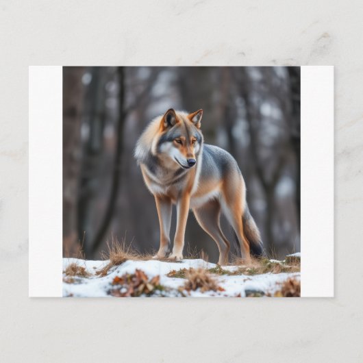 Invitation and announcement  案内ポストカード (正面)