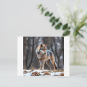 Invitation and announcement  案内ポストカード (スタンド正面)