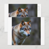 Invitation & Announcement 案内ポストカード (正面/裏面)