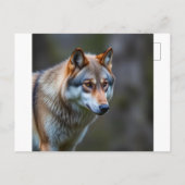 Invitation & Announcement 案内ポストカード (裏面)