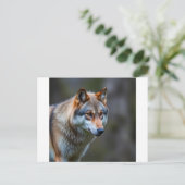 Invitation & Announcement 案内ポストカード (スタンド正面)