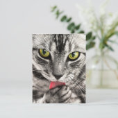 Invitations Stationery  Greeting Cards  Holida シーズンカード (スタンド正面)