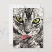 Invitations Stationery  Greeting Cards  Holida シーズンカード (正面)