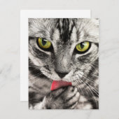 Invitations Stationery  Greeting Cards  Holida シーズンカード (正面/裏面)