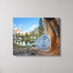 Inyo National Forest, California キャンバスプリント