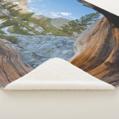 Inyo National Forest, California シェルパブランケット (3/4)