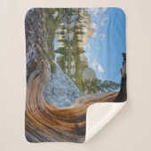 Inyo National Forest, California シェルパブランケット (正面)