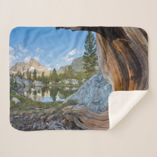 Inyo National Forest, California シェルパブランケット
