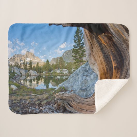Inyo National Forest, California シェルパブランケット (正面(横))