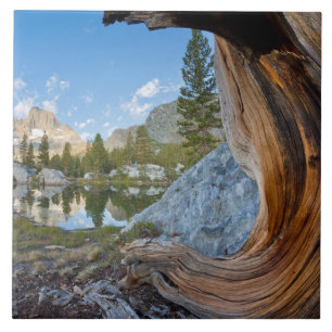 Inyo National Forest, California タイル