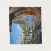 Inyo National Forest, California タペストリー (正面)