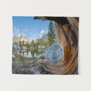 Inyo National Forest, California タペストリー
