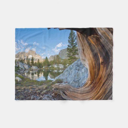 Inyo National Forest, California フリースブランケット (正面(横))