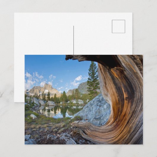 Inyo National Forest, California ポストカード (正面/裏面)