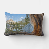 Inyo National Forest, California ランバークッション (正面)