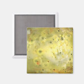 IO マグネット (正面/裏面)