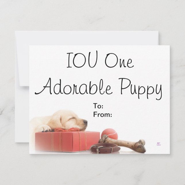 IOU One Adorable puppy (正面)
