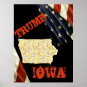 IOWA ポスター (正面)