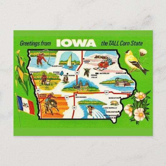 Iowa - Tall Corn State Postcard ポストカード (正面)
