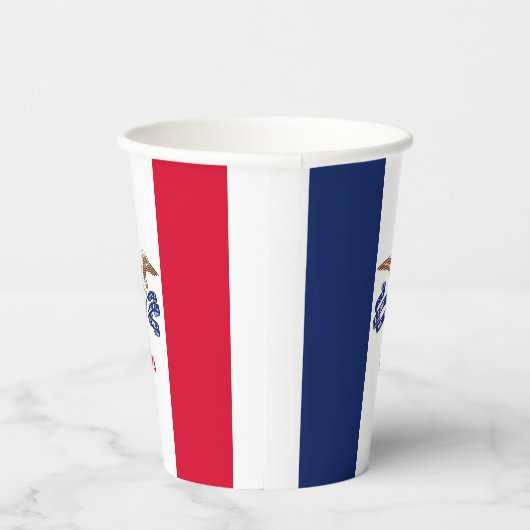 Iowan Flag & Seal, Flag of Iowa 紙コップ (右)