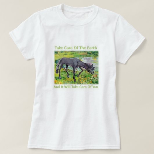 Iown - Take 気に of the Earth T-shirt Tシャツ (デザイン正面)