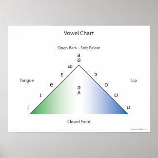 IPA母音図 ポスター