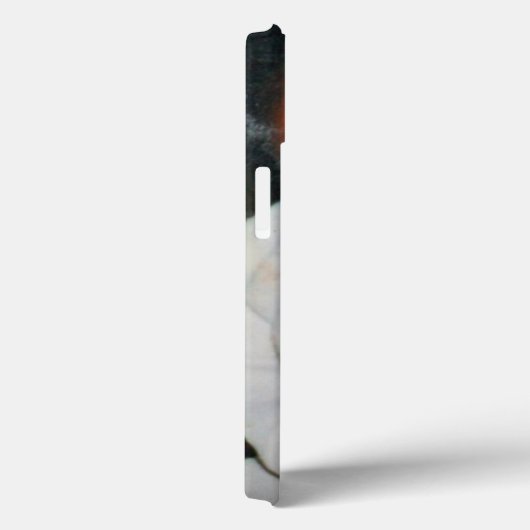 iPadエアケース、ほとんどそこだ Case-Mate iPhoneケース (裏面 / 右)