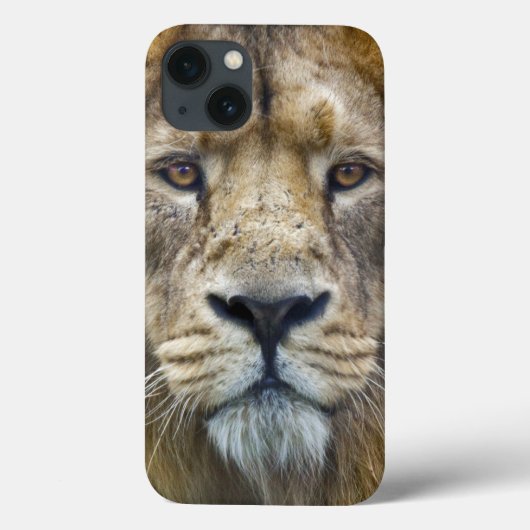 iPadケース ボス Case-Mate iPhoneケース (裏面)