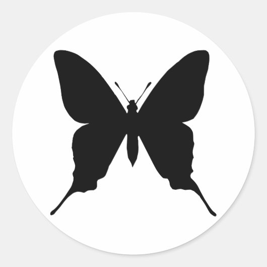 Iphiclides podalirius ラウンドシール (正面)