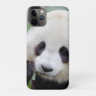 iPhoneケースフォトジャイアントパンダ、動物。 iPhone 11 Proケース