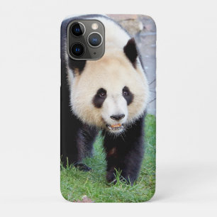 iPhoneケースフォトジャイアントパンダ、動物。 iPhone 11 Proケース
