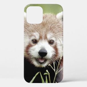 iPhoneケースフォトジャイアントパンダ、動物。 iPhone 12 Proケース