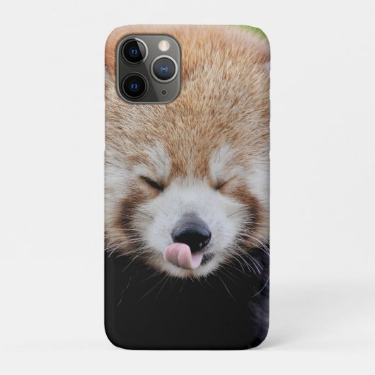 iPhoneケース写真ジャイアントパンダ、動物。 Case-Mate iPhoneケース (裏)