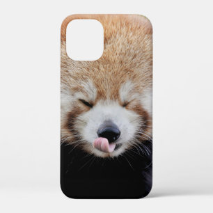 iPhoneケース写真ジャイアントパンダ、動物。 iPhone 12 Mini ケース
