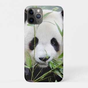 iPhoneケース写真ジャイアントパンダ、動物。 iPhone 11 Proケース