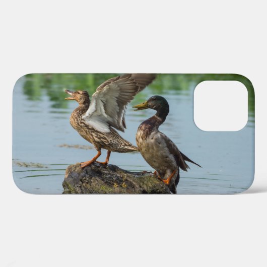 iPhoneケース エクスキューズ ミー Case-Mate iPhoneケース (裏面 (横))