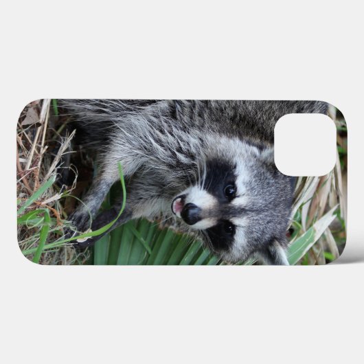 iPhone離れケースのみ Case-Mate iPhoneケース (裏面 (横))