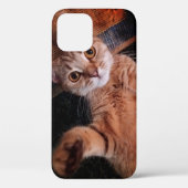iphone12 proケース...cat Case-Mate iPhoneケース (裏面)